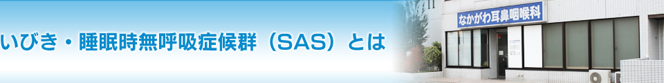 いびき・睡眠時無呼吸症候群（SAS）とは